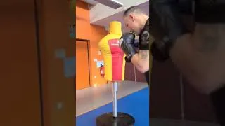 Miniature : Démonstration du mannequin de frappe Matrix