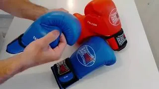 Miniature : Budo-Fight vous présente son Gant de Boxe Falcon !