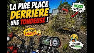 Miniature : NE ROULE JAMAIS DERRIERE UNE TONDEUSE🤢