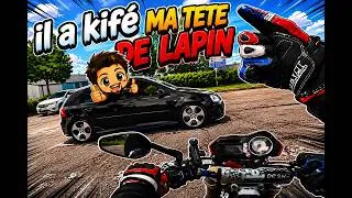Miniature : IL A KIFÉ MA TETE DE LAPIN …🐰