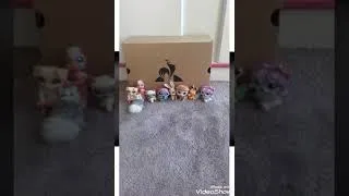 Miniature : Petite annonce pour patte de loup l 😘