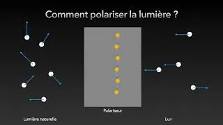 Miniature : Introduction à la polarisation