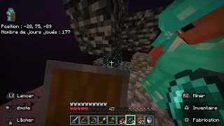 Miniature : On va chercher nos elytras