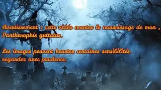 Miniature : Ma vidéo