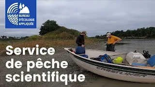 Miniature : Service de pêche scientifique au Québec - Bureau d'écologie appliquée