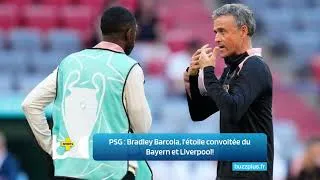 Miniature : PSG : Bradley Barcola, l'étoile convoitée du Bayern et Liverpool!