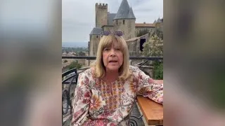 Miniature : Mort de Chantal Goya : Son dernier message avant sa mort