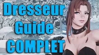 Miniature : Jouer le Dresseur dans FF14 ? Crucible & Sorts ? Guide Complet Beastmaster 7.56 ! FFXIV FR