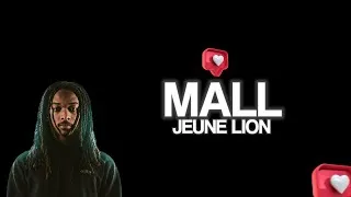 Miniature : Jeune lion - Mall paroles ( lyrics )