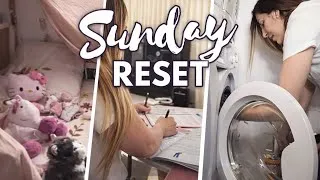 Miniature : ✨RESET du DIMANCHE | Mise à jour & Organisation de la semaine