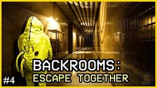 Miniature : #4 - Backrooms Escape Together - Level 3 (Multi) - Let's Play FR