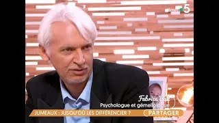 Miniature : Différencier les jumeaux