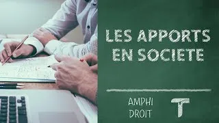 Miniature : Les différents apports en société | AmphiDroit