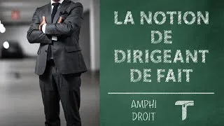 Miniature : La notion de dirigeant de fait | AmphiDroit