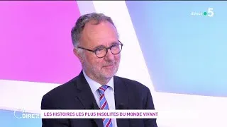 Miniature : Les histoires les plus insolites du monde vivant #cadire 23.06.2022