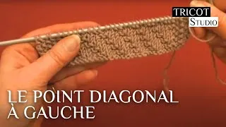 Miniature : | Tricot Studio: Le point diagonal à gauche.