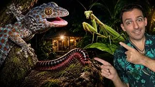 Miniature : À Koh Chang, je trouve PLEIN d'espèces que je n'avais JAMAIS observées 🦀