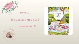 Miniature : Je continue mon colo dans le livre Esprit cottage !   J'adore !!! ✨✨