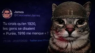 Miniature : Ces commentaires stupides sur le Net #5