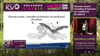 Miniature : Les chauves-souris : connaitre et favoriser ces auxiliaires de culture - Colloque ICV, mai 2019