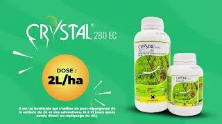 Miniature : Crystal, le désherbant efficace et spécialisé pour la culture du riz