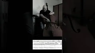 Miniature : Gabriel Fauré (1845 - 1924) Élégie opus 24 (1880) - SCORE - Contrebasse