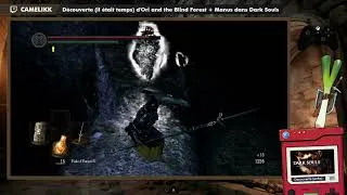 Miniature : On joue à Dark Souls :'( Chapitre 37 : Sif, l'expert du nettoyage, avant l'apéro avec Kamaleet