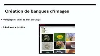Miniature : Challenges 4.0 CaMéX-IA : Biologie IA