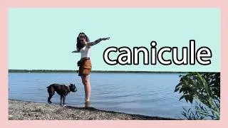 Miniature : Seuls au monde dans la chaleur 🐶 (rediffusion Twitch IRL) - VLOG