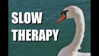 Miniature : Slow Therapy