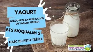 Miniature : Yaourt