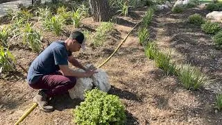 Miniature : Festival des Jardins - mars 2023