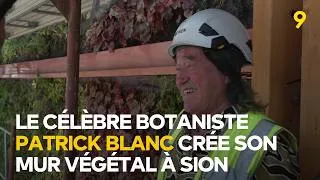Miniature : Un mur végétal s'installe à Sion