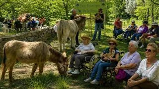 Miniature : Rompre l’isolement par le partage : une journée avec Les Petits Frères des Pauvres