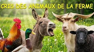 Miniature : CRIS des ANIMAUX de la FERME : coq, canard, âne, chèvre, mouton et agneau 🐓🦆🐴🐐🐑