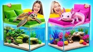 Miniature : Nous Construisons un Aquarium Incroyable | Défi Axolotl contre Tortue par Candy DO