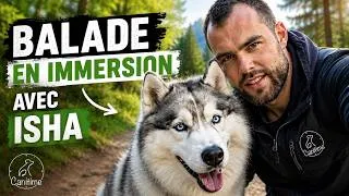 Miniature : UNE VRAIE BALADE AVEC MON HUSKY ISHA (Sans filtre)