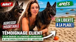 Miniature : SON BERGER ALLEMAND ETAIT HAUTEMENT AGRESSIF. AUJOURD'HUI IL EST EN LIBERTE A BALI