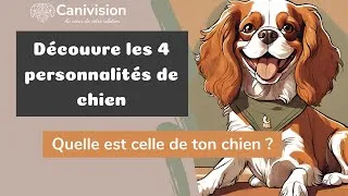 Miniature : Quel est le caractère de mon chien et comment m'adapter ? | 4 personnalités, 4 besoins