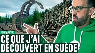 Miniature : Enquête sur le géant suédois qui dévaste les forêts d'Europe