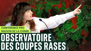 Miniature : Conférence - Présentation de l'Observatoire des coupes rases - Maison de la Chimie
