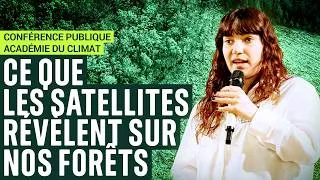 Miniature : Soirée de présentation grand public "Coupes rases sous surveillance" - Académie du Climat