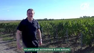 Miniature : Le Crédit Agricole du Nord Est de nouveau mobilisé contre la flavescence dorée