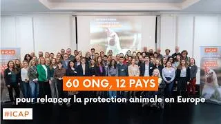 Miniature : Récap de la deuxième édition de l'International Conférence for Animals in Politics 🐔