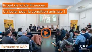 Miniature : Projet de loi de Finances : Comment orienter l’argent public vers la protection des animaux ?