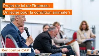 Miniature : 💸 Rencontre CAP du 8 octobre 2025 : Projet de loi de Finances, un levier pour la condition animale ?