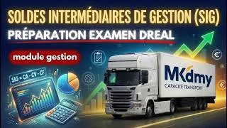 Miniature : [SOLDES INTERMÉDIAIRES DE GESTION (SIG)] CAPACITÉ DE TRANSPORT: Examen DREAL