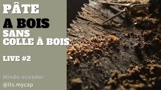 Miniature : 🪚 Pâte à Bois sans Colle à bois : Retour d'expérience et Astuces Pratiques (Suite) 🌿