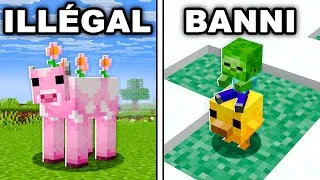 Miniature : 30 SECRETS que TU ne CONNAIS PAS sur Minecraft !