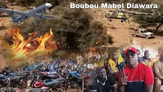 Miniature : Neutralisant Boubou Mabel Diawara interdiction des 39 forêts classées, rencontre des conducteurs 